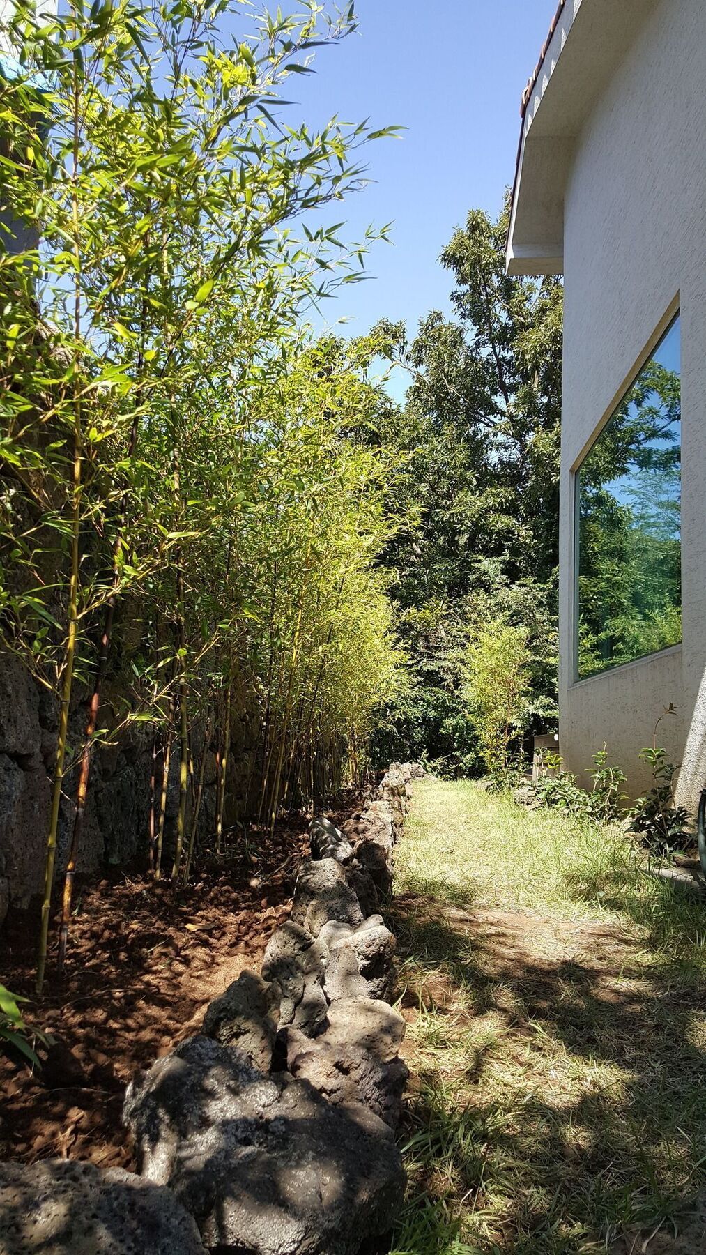 Villa Supgol Private House Jeju Exterior foto