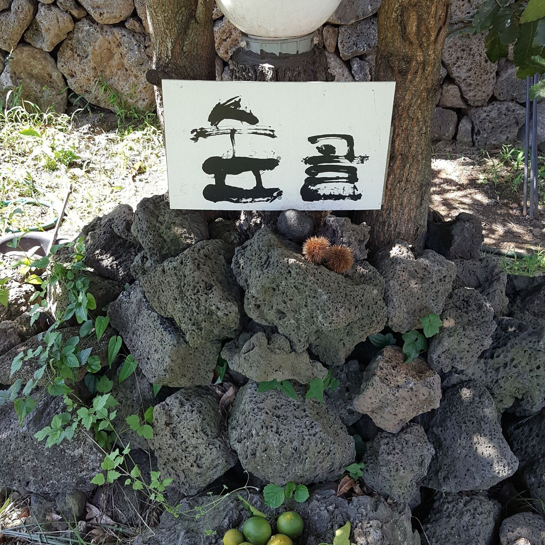 Villa Supgol Private House Jeju Exterior foto