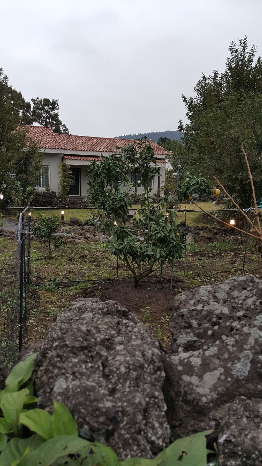 Villa Supgol Private House Jeju Exterior foto