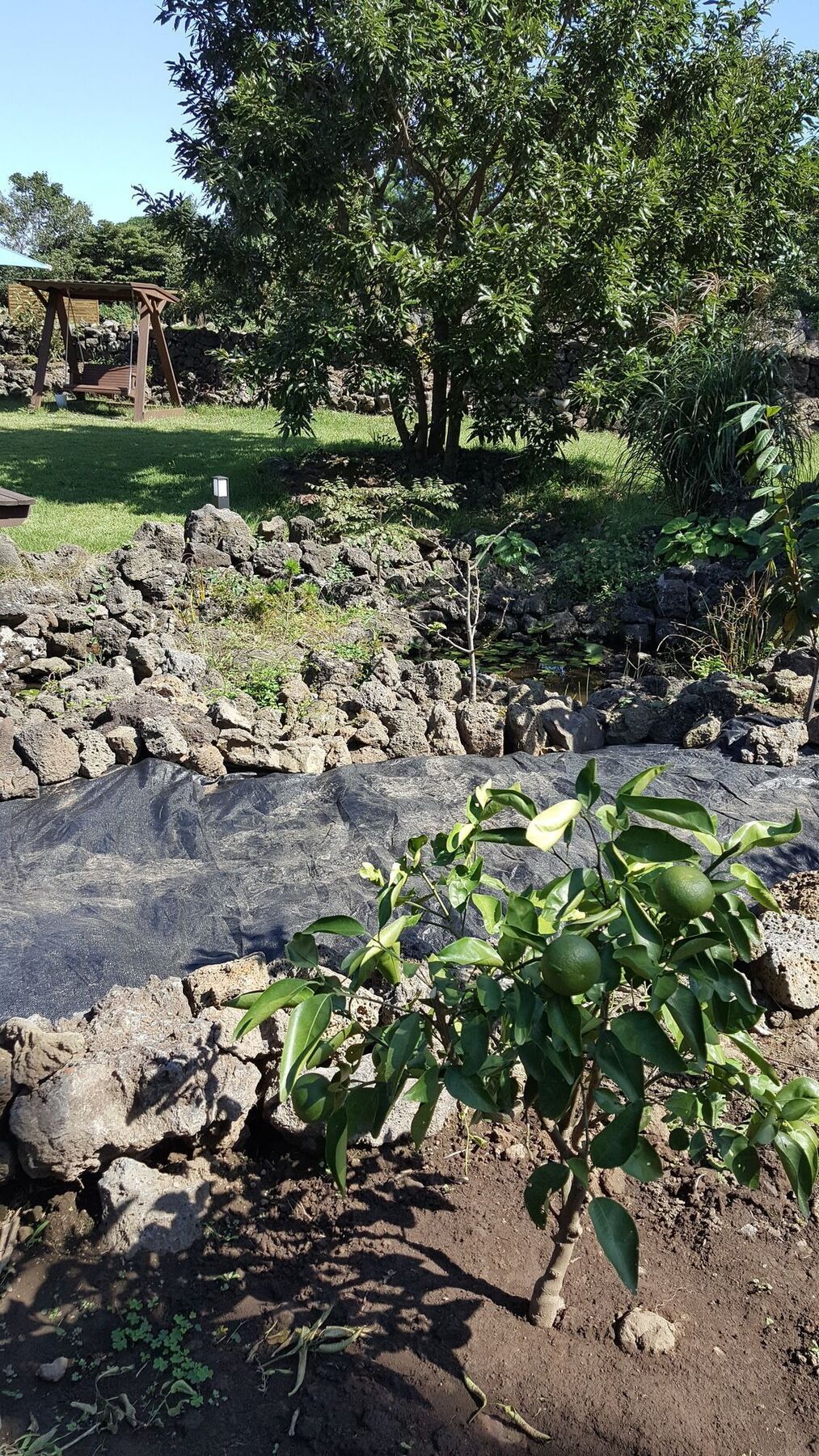Villa Supgol Private House Jeju Exterior foto